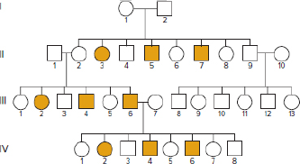 Chapter 20, Problem 6P, You have decided to study genetic factors associated with colon cancer. An extended family from 