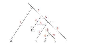 Chapter 21, Problem 36P, A cladogram not drawn to scale for the taxonomic family Hominidae is shown here. The numbers 110 , example  1