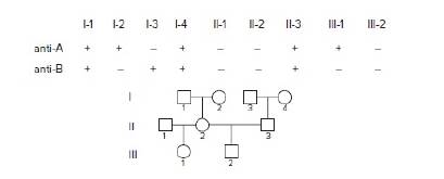 Chapter 3, Problem 31P, The following table shows the responses of blood samples from the individuals in the pedigree to 