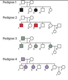 Chapter 4, Problem 37P, Each of the four pedigrees that follow represents a human family within which a genetic disease is 