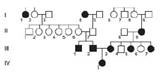 Chapter 4, Problem 37P, The pedigree that follows indicates the occurrence of albinism in a group of Hopi Indians, among 
