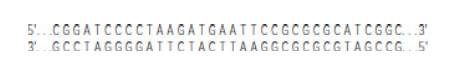 Chapter 9, Problem 15P, A recombinant DNA molecule is constructed using a plasmid vector called pMBG36 that is 4271 bp long. 