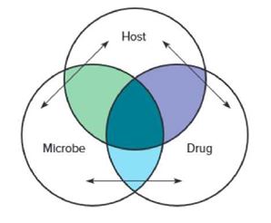 Chapter 12.L1, Problem 1WC, Using the diagram as a guide, briefly explain how the three factors in drug therapy interact. 
