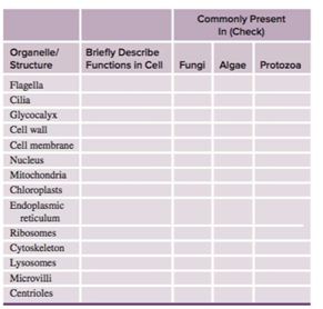 Chapter 5.L1, Problem 4WC, a. Fill in the following summary table for defining, comparing, and contrasting eukaryotic cells. b. , example  2