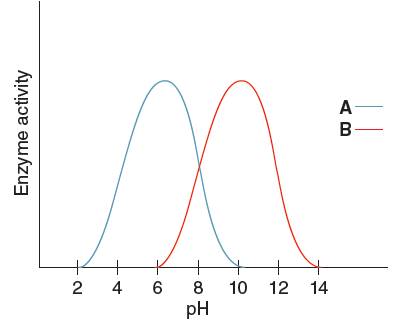 Loose Leaf for General, Organic and Biological Chemistry with Connect 2 Year Access Card, Chapter 21, Problem 77P , additional homework tip  1