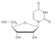 General, Organic, & Biological Chemistry, Chapter 22.1, Problem 22.1P , additional homework tip  1