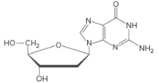 Loose Leaf for General, Organic and Biological Chemistry with Connect 2 Year Access Card, Chapter 22.1, Problem 22.1PP , additional homework tip  4