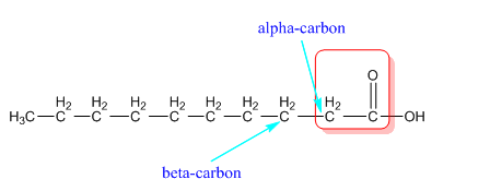 CONNECT IA GENERAL ORGANIC&BIO CHEMISTRY, Chapter 24, Problem 63P , additional homework tip  2