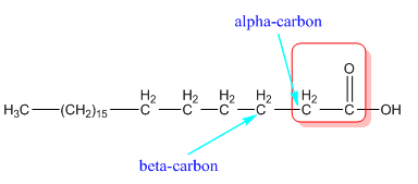 CONNECT IA GENERAL ORGANIC&BIO CHEMISTRY, Chapter 24, Problem 64P , additional homework tip  2