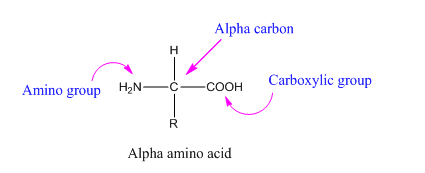 CONNECT IA GENERAL ORGANIC&BIO CHEMISTRY, Chapter 24, Problem 73P , additional homework tip  2
