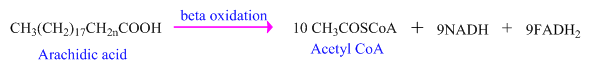 GENERAL,ORGANIC, & BIOLOGICAL CHEM-ACCES, Chapter 24, Problem 99CP , additional homework tip  5
