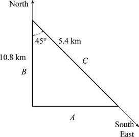 Basic Biomechanics, Chapter 1, Problem 10AP 