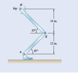Chapter 15.5, Problem 15.171P, The human leg can be crudely approximated as two rigid bars (the femur and the tibia) connected with 