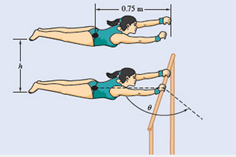 Chapter 17.3, Problem 17.116P, The 40-kg gymnast drops from her maximum height of h=0.5 m straight down to the bar as shown. Her 