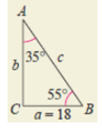 EBK PRECALCULUS W/LIMITS, Chapter 6.2, Problem 66E , additional homework tip  2