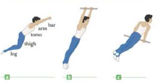 Chapter 8, Problem 15P, Many of the elements in horizontal-bar exercises can be modeled by representing the gymnast by four , example  2