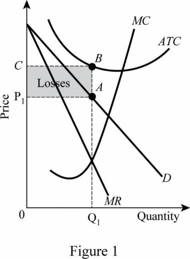 Economics (Book Only), Chapter 24, Problem 1VQP 