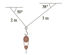 Chapter 12.2, Problem 37E, A block-and-tackle pulley hoist is suspended in a warehouse by ropes of lengths 2 m and 3 m. The 