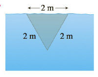 Chapter 8.3, Problem 7E, A vertical plate is submerged or partially submerged in water and has the indicated shape. Explain 