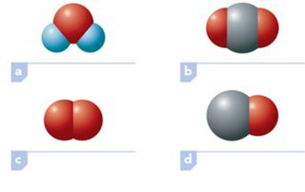 Chapter 1, Problem 1.57EP, Classify the substances represented by the following models as homoatomic or heteroatomic molecules. 