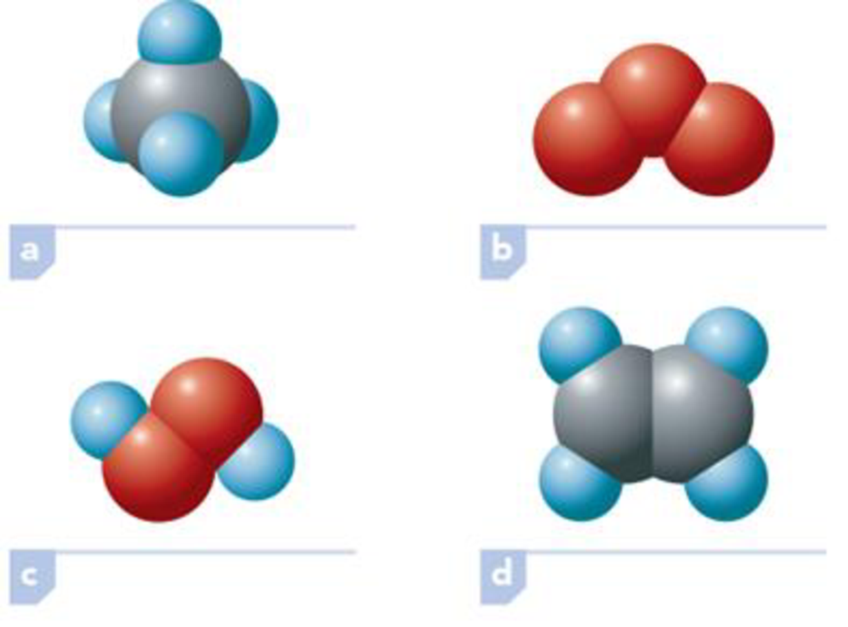 Chapter 1, Problem 1.58EP, Classify the substances represented by the following models as homoatomic or heteroatomic molecules. 