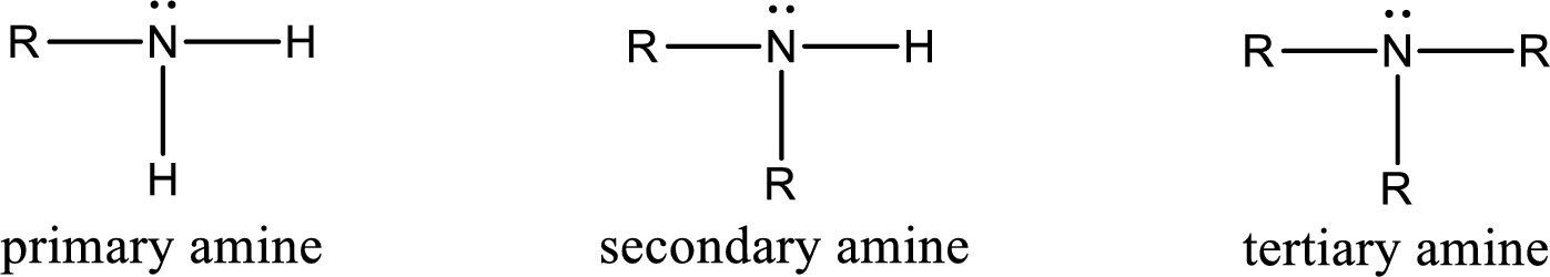 The given compound contains an amine functional group or not has to be ...