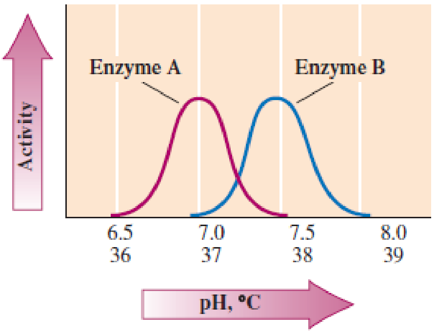 Chapter 21, Problem 21.41EP, The following graph shows the relationship between enzyme activity and both pH and temperature for 