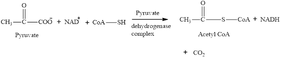 General, Organic, and Biological Chemistry Seventh Edition, Chapter 24, Problem 24.46EP , additional homework tip  9