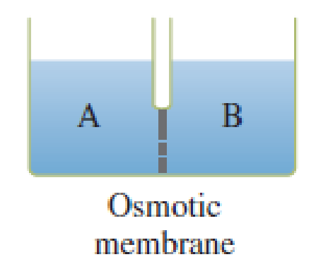 Chapter 8, Problem 8.113EP, Consider two solutions, A and B, separated by an osmotic semipermeable membrane that allows only 