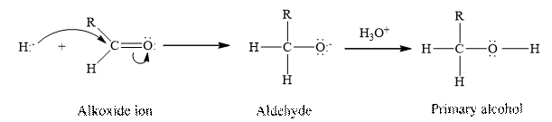 Student Solutions Manual for Bettelheim/Brown/Campbell/Farrell/Torres' Introduction to General, Organic and Biochemistry, 11th, Chapter 17, Problem 17.30P , additional homework tip  6