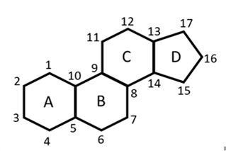 INTRO TO GEN ORG BIO CHEM-W/OWL PKG, Chapter 17, Problem 17.76P , additional homework tip  3