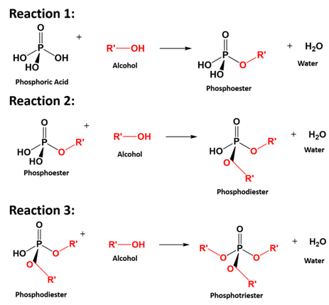 Introduction To General, Organic, And Biochemistry, Chapter 18, Problem 15P 