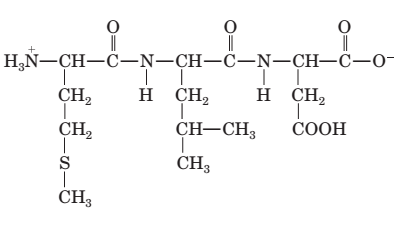 Chapter 22, Problem 22.30P, 22-30 (a) Use the three-letter abbreviations to write a representation of the following tripeptide: 
