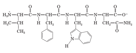 Chapter 22, Problem 22.92P, 22-92 Write the expected products of the acid hydrolysis of the following tetrapeptide: 