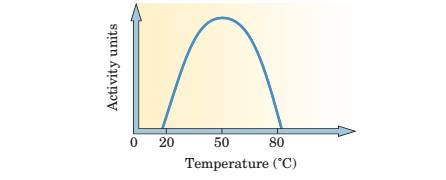 Chapter 23, Problem 23.17P, 7 A bacterial enzyme has the following temperature-dependent activity. (a) Is this enzyme more or 