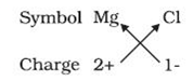 Student Solutions Manual for Bettelheim/Brown/Campbell/Farrell/Torres' Introduction to General, Organic and Biochemistry, 11th, Chapter 3, Problem 3.38P 