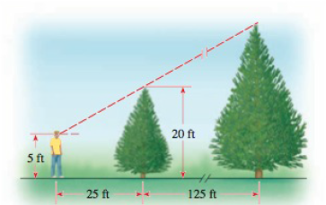 Chapter 1.7, Problem 54E, Height of a Tree A woodcutter determines the height of a tall tree by first measuring a smaller one 