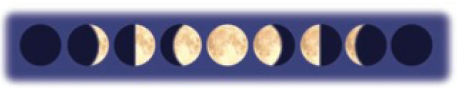 Chapter 5.6, Problem 64E, DISCUSS: Phases of the Moon During the course of a lunar cycle (about 1 month) the moon undergoes 