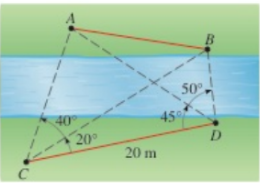 Chapter 6, Problem 3P, Determining a Distance A surveyor on one side of a river wishes to find the distance between points 
