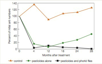 Chapter 45, Problem 3DAA, Testing Biological Control Ant-decapitating phorid flies are just one of the biological control 