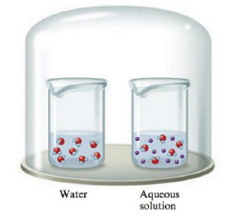 Chapter 10, Problem 19Q, The two beakers in the sealed container illustrated below contain pure water and an aqueous solution 