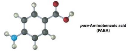 Chapter 1.12, Problem 17P, The following molecular model is a representation of para-aminobenzoic acid (PABA), the active 