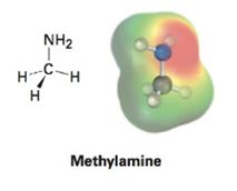 Chapter 2.1, Problem 4P, Look at the following electrostatic potential map of methylamine, a substance responsible for the 