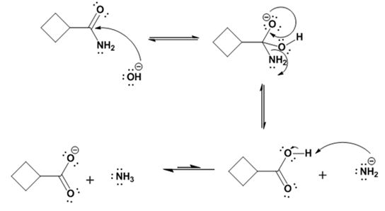 Organic Chemistry (Instructor's), Chapter 20.SE, Problem 23MP , additional homework tip  18