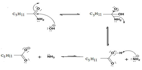 Study Guide with Student Solutions Manual for McMurry's Organic Chemistry, 9th, Chapter 20.SE, Problem 23MP , additional homework tip  3