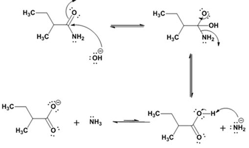 Owlv2, 4 Terms (24 Months) Printed Access Card For Mcmurry's Organic Chemistry, 9th, Chapter 20.SE, Problem 23MP , additional homework tip  8