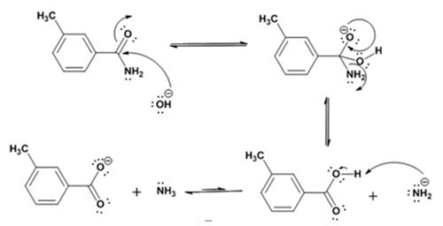 EBK ORGANIC CHEMISTRY, Chapter 20.SE, Problem 23MP , additional homework tip  13