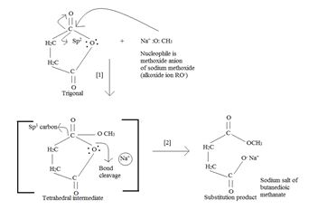Organic Chemistry - Owlv2 Access (4 Term), Chapter 21.SE, Problem 31MP , additional homework tip  32