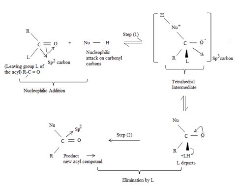 Organic Chemistry (Instructor's), Chapter 21.SE, Problem 31MP , additional homework tip  8