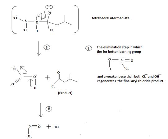 Organic Chemistry: Volume Ii, 9th Edition With Owlv2 Access Code, Chapter 21.SE, Problem 32MP , additional homework tip  17